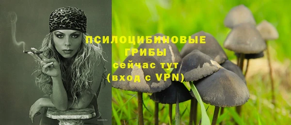 гидра Балахна