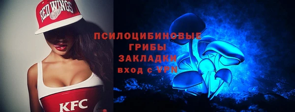 гидра Балахна