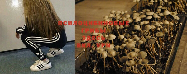 спиды Балабаново