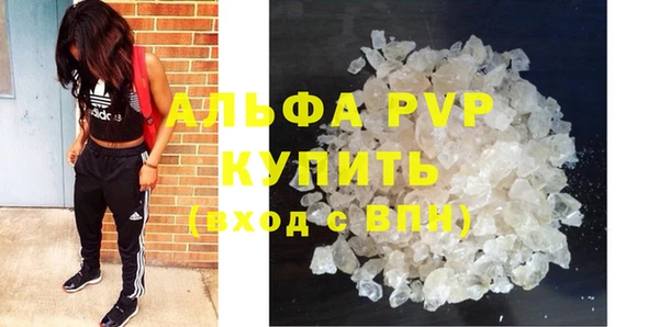 гашик Баксан