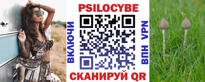 Псилоцибиновые грибы GOLDEN TEACHER  блэк спрут ссылка  Биробиджан  наркотики 